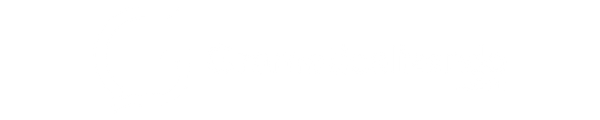Gramaticalizando